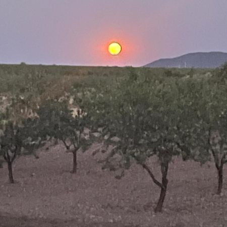 OriaCortijo Calma - Countryside Peace & Tranquility公寓 外观 照片