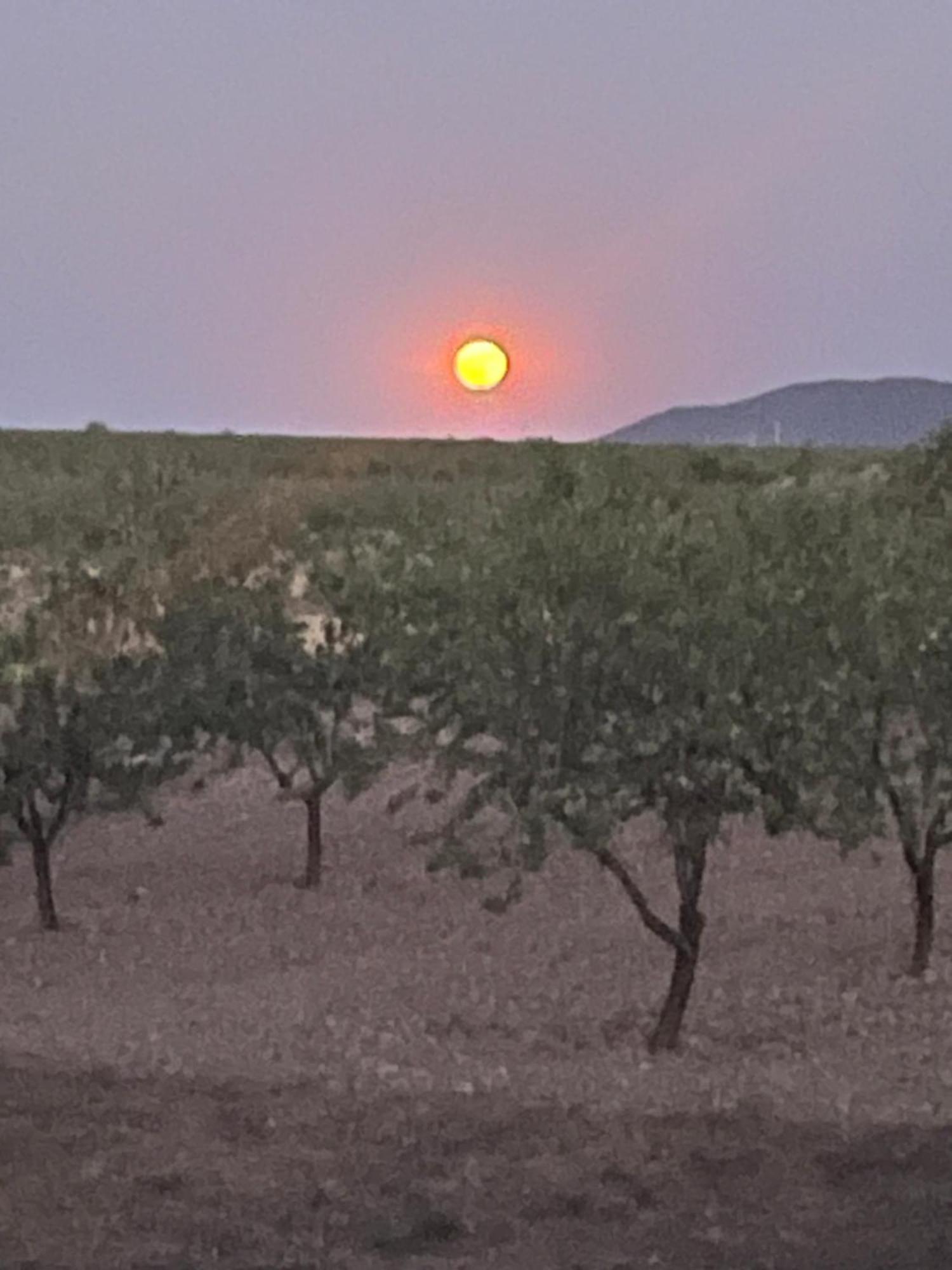 OriaCortijo Calma - Countryside Peace & Tranquility公寓 外观 照片